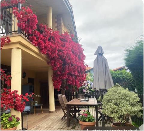 Property building, Patio, Spring, Day, Garden, Balcony/Terrace, Garden view