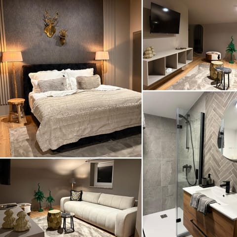 Shower, Bed, Bathroom, Balcony/Terrace, Photo of the whole room, Seating area, Bedroom, towels