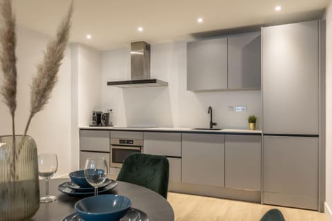 Modern Lower-Ground Apartment in Rotterdam West Apartment in Rotterdam