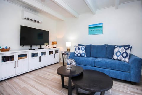 TV and multimedia, Living room, Seating area, Evening entertainment, air conditioner