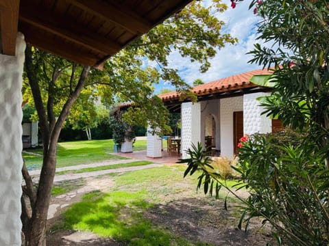Property building, Garden, Garden