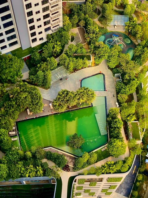 Garden, Swimming pool