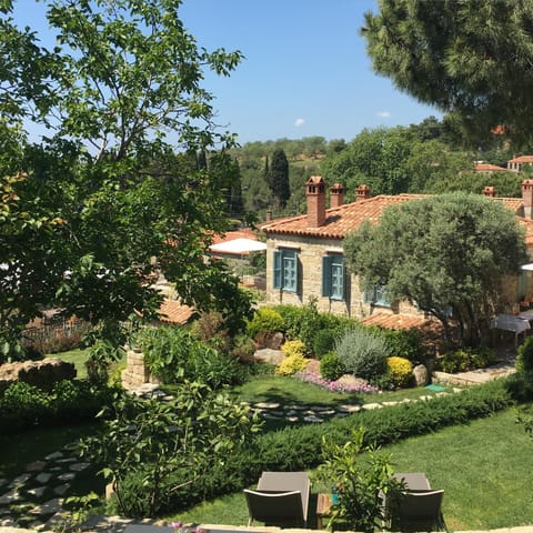 Day, Garden