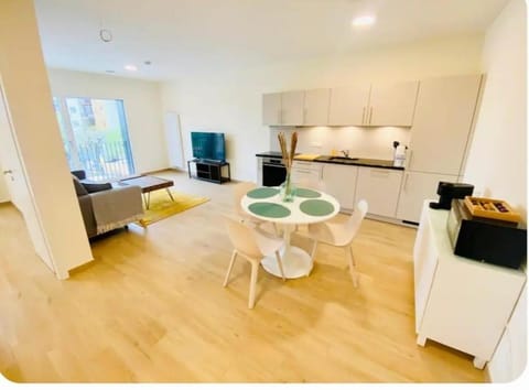 Contemporary 1 bedroom with parking Apartment in Luxembourg