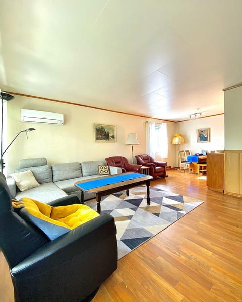 Living room, Seating area, Dining area, air conditioner