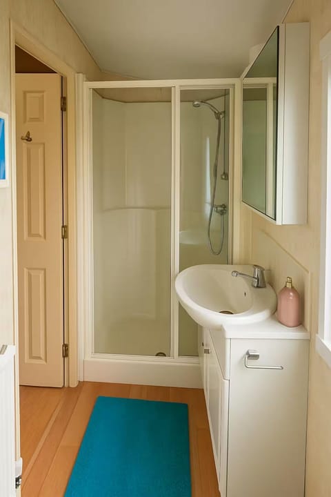 Shower, Bathroom, Decorative detail, furniture, acessibility