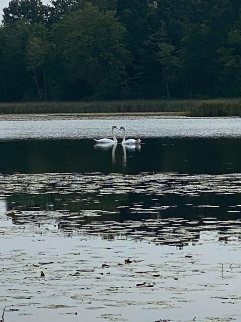 Lake Life - Peaceful and Quiet House in Orion Township