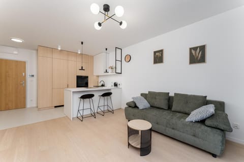 Kitchen or kitchenette, Living room, oven