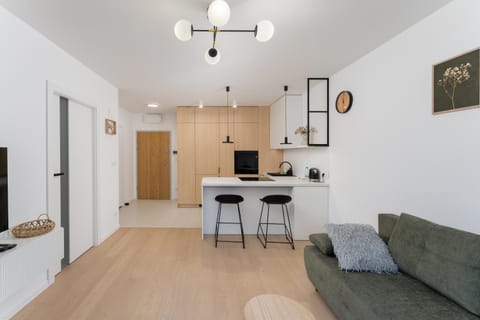 Kitchen or kitchenette, Living room, oven