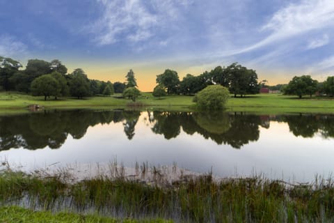 Natural landscape