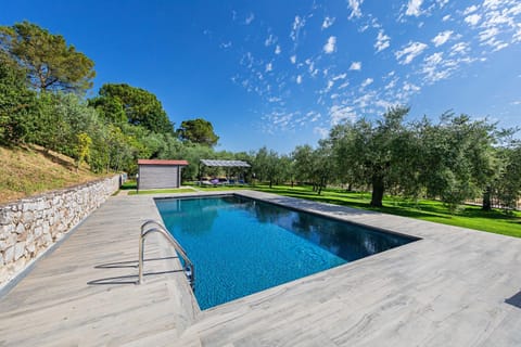 Spring, Day, Natural landscape, Garden, Garden view, Pool view, Swimming pool, sunbed