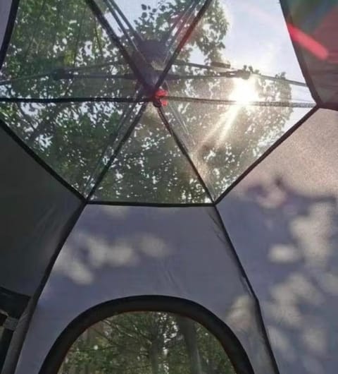 Bird Nest Hostel in Ko Tao