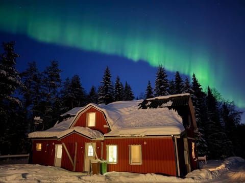 Property building, Night, Natural landscape, Winter