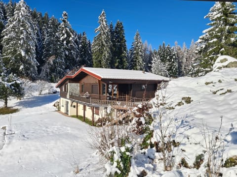 Property building, Winter, Garden