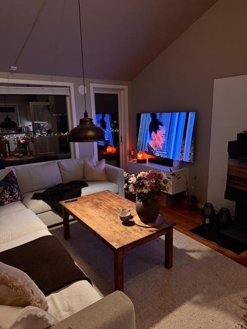 TV and multimedia, Living room, Seating area, Evening entertainment