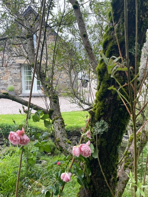 Natural landscape, Garden