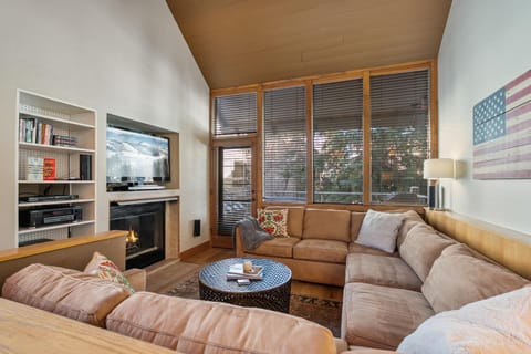 Day, Library, TV and multimedia, Living room, fireplace, furniture