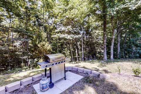 Cozy Cabin Norris Lake Porch Firepit Jetted Tub Cabin in Norris Lake