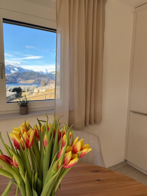 Der Bungalow am Sonnenplateu - See und Bergblick Apartment in Carinthia, Austria