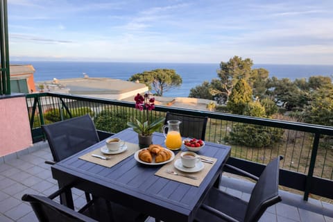 Balcony/Terrace, Balcony/Terrace