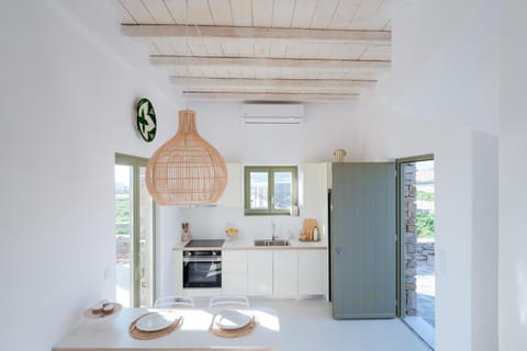 Kitchen or kitchenette, oven, stove