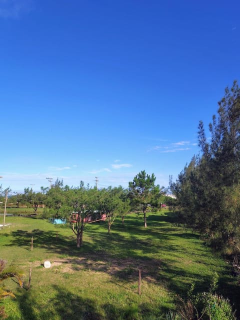 Day, Natural landscape, Garden, Garden view