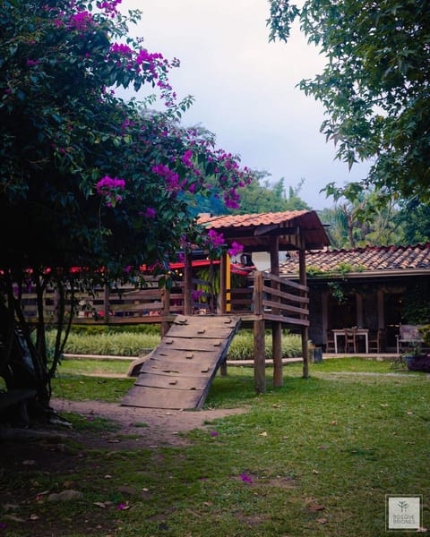 Cozy apartment near the Bosque de Niebla Apartment in Xalapa