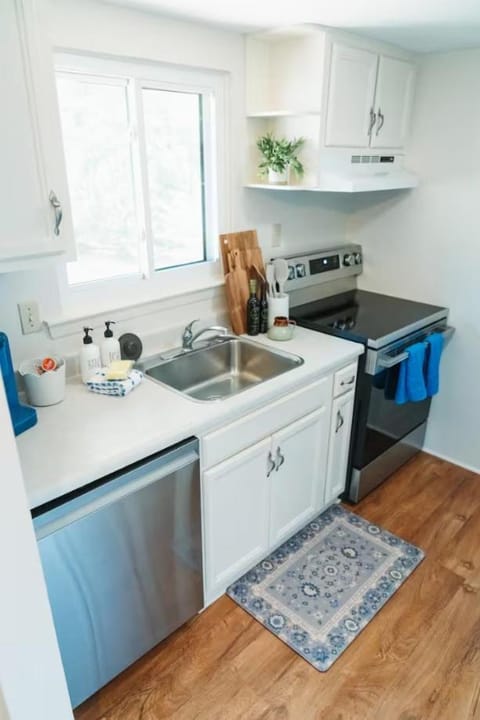 Kitchen or kitchenette, dishwasher, stove