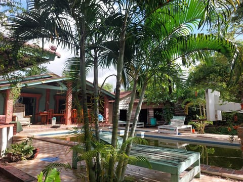 Garden, Garden view, Swimming pool
