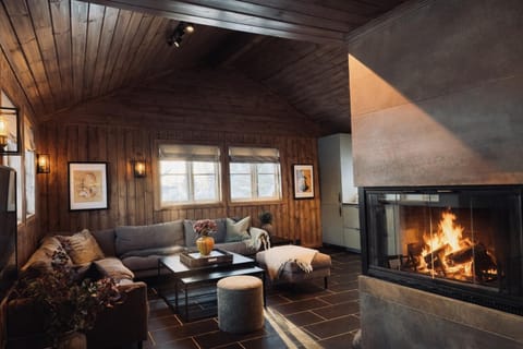 Living room, Seating area, fireplace