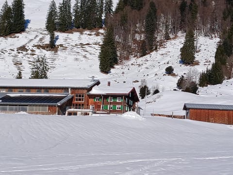 Day, Natural landscape, Winter