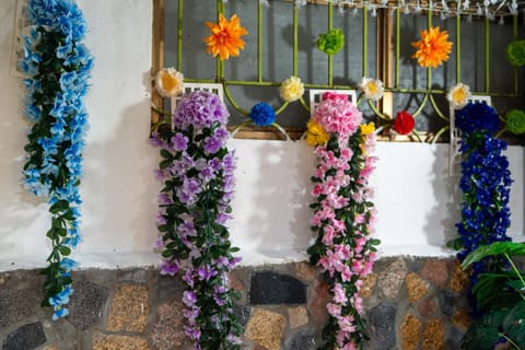Garden, Balcony/Terrace