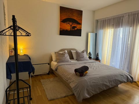 chambre chez habitant pied du lac Vacation rental in Geneva