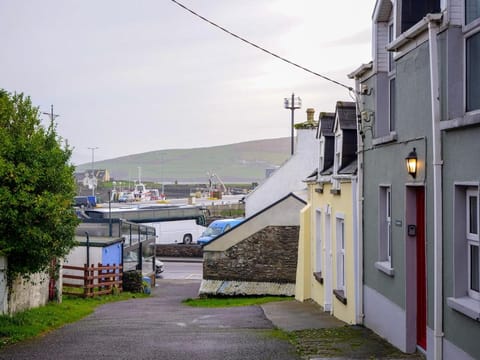 The Old Boatmans - Dingle Town House in Dingle