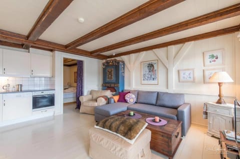 Kitchen or kitchenette, Living room, Seating area, stove