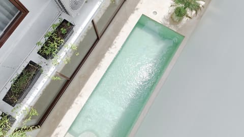 Day, Pool view, Swimming pool