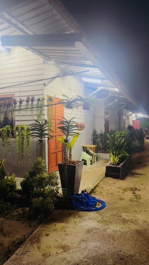 Night, Garden, Garden view