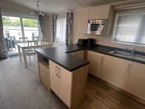 Kitchen or kitchenette, Dining area, microwave, oven, stove, toaster