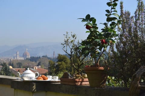 Monolocale Splendida Vista Apartment in Florence