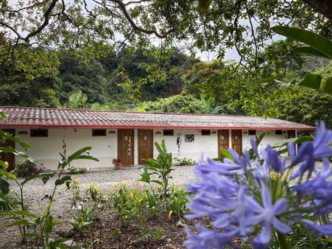 Property building, Spring, Day, Garden, Garden view