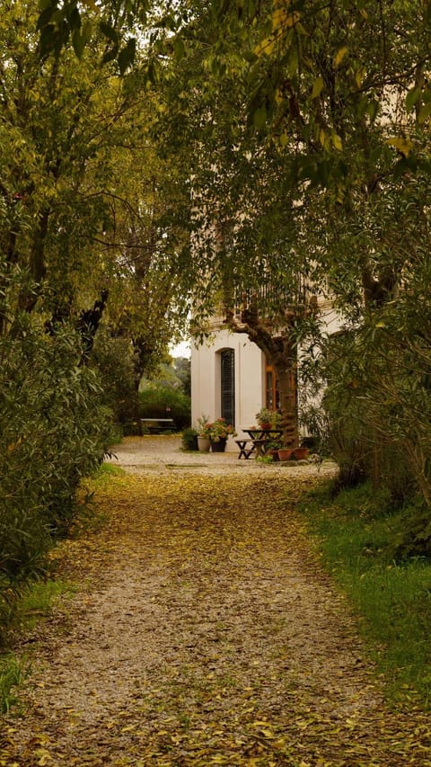 Property building, Facade/entrance, Spring, Day, Natural landscape, Garden, Garden, Lobby or reception, Autumn, Garden view