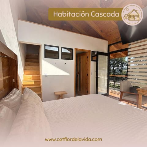 Cabaña Baño de Bosque Campground/
RV Resort in Pachuca