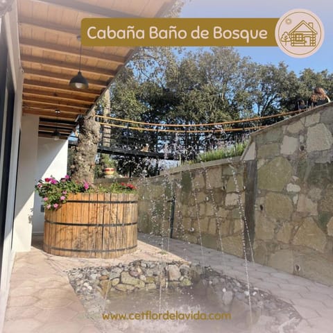 Cabaña Baño de Bosque Campground/
RV Resort in Pachuca