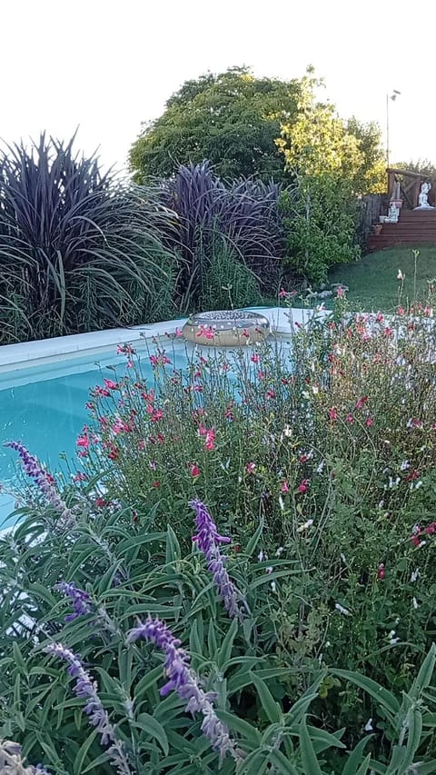 Garden, Swimming pool