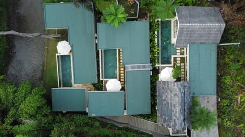 8BR Luxury Jungle Villa Ubud Villa in Sukawati