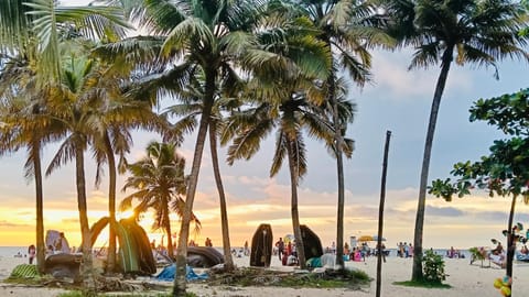 Nearby landmark, Day, People, Natural landscape, Beach, Sea view, Sunset, group of guests