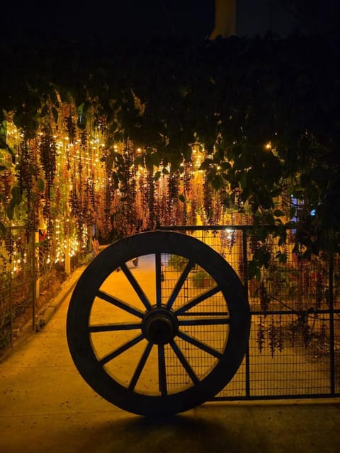 Facade/entrance, Night