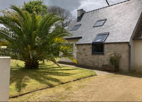 Property building, Garden, Garden