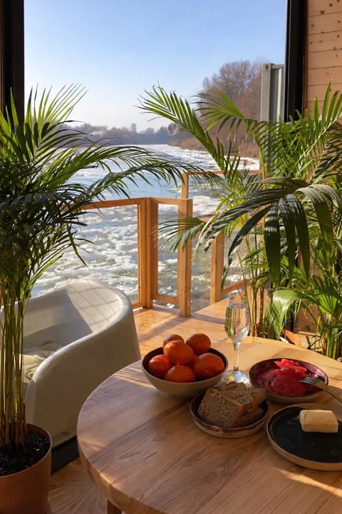 Day, Natural landscape, View (from property/room), Balcony/Terrace, Living room, Food and drinks, Seating area, Dining area, Food, Lake view, River view, Sea view