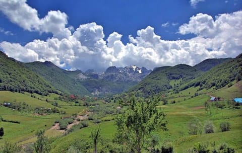 Natural landscape